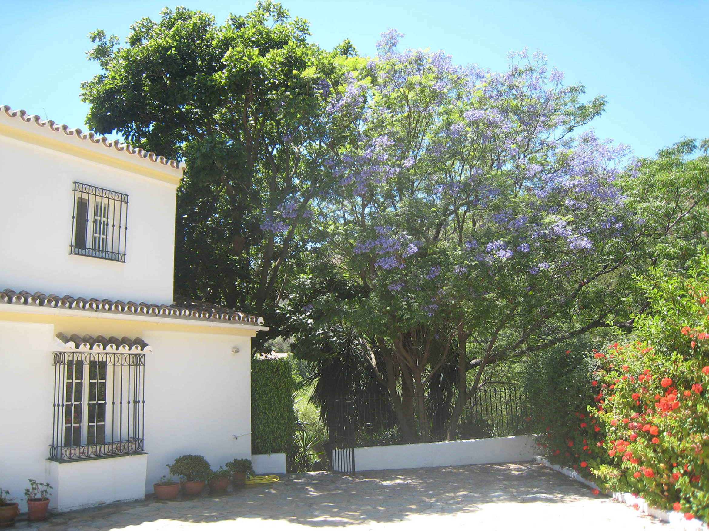 the courtyard